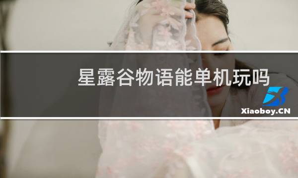 星露谷物语能单机玩吗