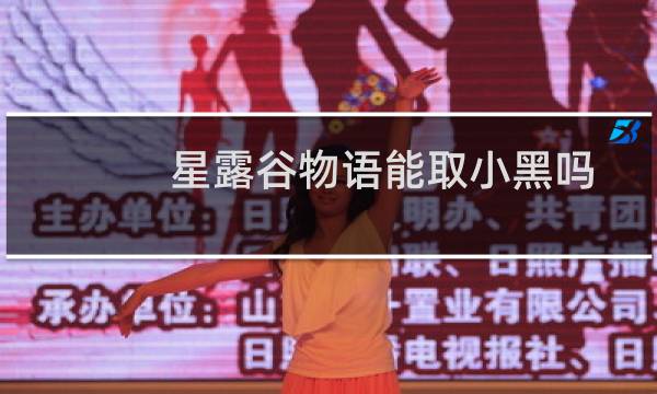 星露谷物语能取小黑吗