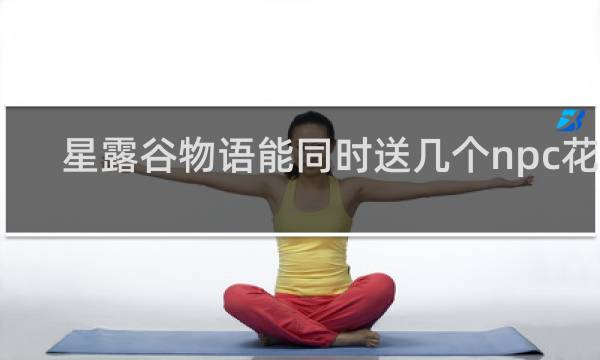星露谷物语能同时送几个npc花么