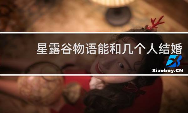 星露谷物语能和几个人结婚