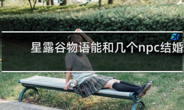 星露谷物语能和几个npc结婚
