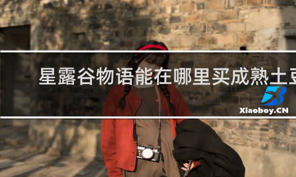 星露谷物语能在哪里买成熟土豆