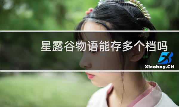 星露谷物语能存多个档吗