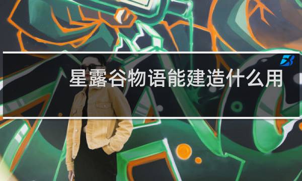 星露谷物语能建造什么用