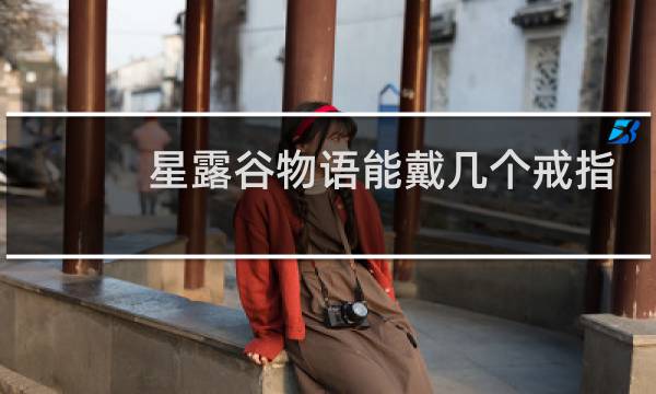 星露谷物语能戴几个戒指