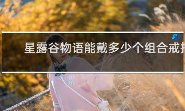 星露谷物语能戴多少个组合戒指