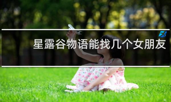 星露谷物语能找几个女朋友