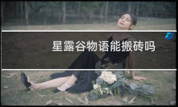 星露谷物语能搬砖吗
