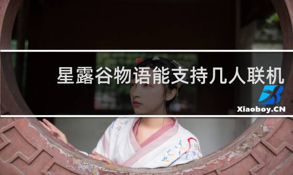 星露谷物语能支持几人联机