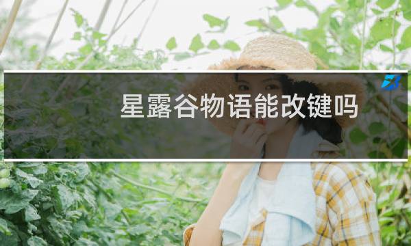 星露谷物语能改键吗