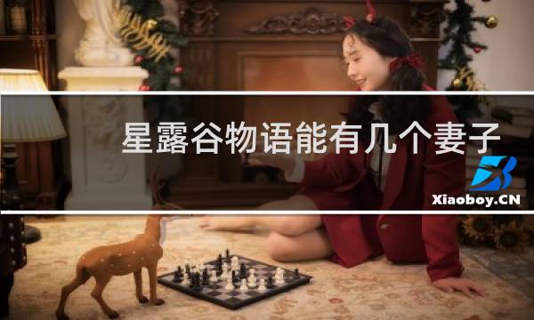 星露谷物语能有几个妻子