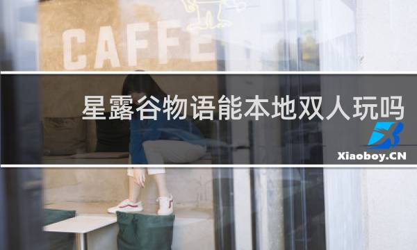 星露谷物语能本地双人玩吗