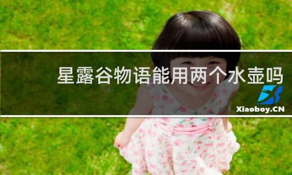 星露谷物语能用两个水壶吗