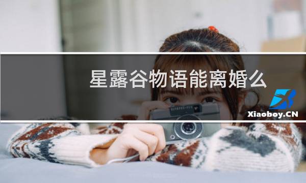 星露谷物语能离婚么