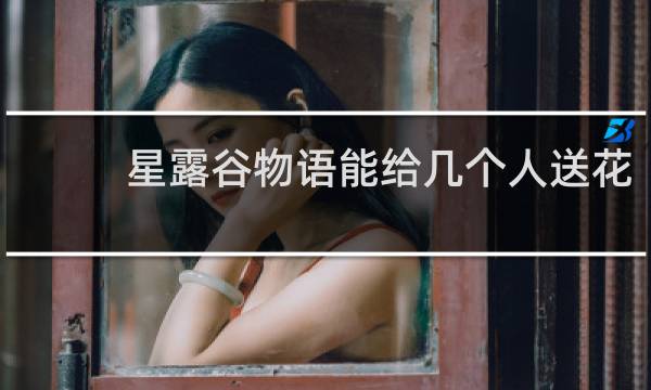星露谷物语能给几个人送花