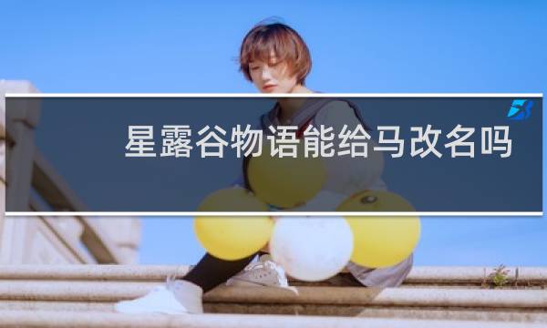 星露谷物语能给马改名吗