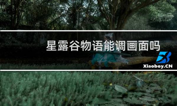 星露谷物语能调画面吗