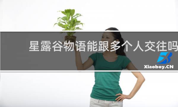 星露谷物语能跟多个人交往吗