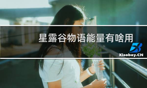 星露谷物语能量有啥用