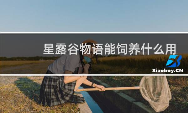 星露谷物语能饲养什么用