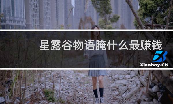 星露谷物语腌什么最赚钱