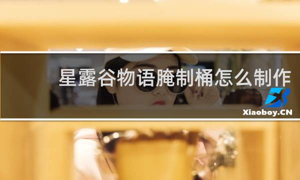 星露谷物语腌制桶怎么制作
