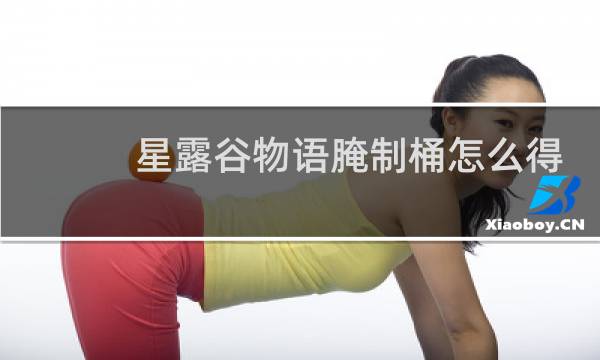 星露谷物语腌制桶怎么得