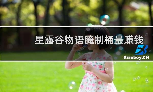 星露谷物语腌制桶最赚钱