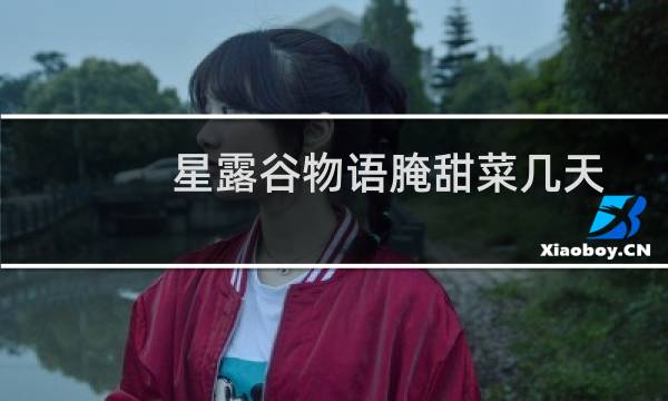 星露谷物语腌甜菜几天
