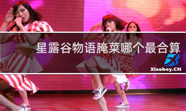星露谷物语腌菜哪个最合算