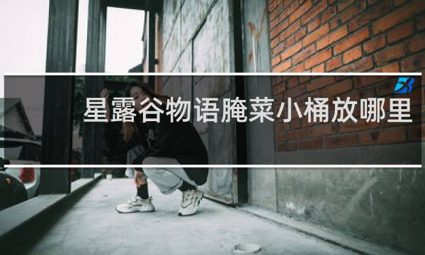 星露谷物语腌菜小桶放哪里