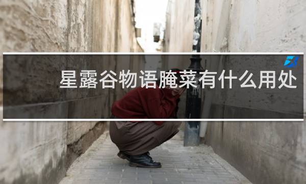 星露谷物语腌菜有什么用处