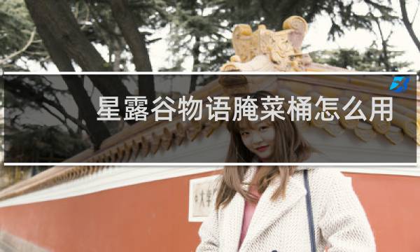 星露谷物语腌菜桶怎么用