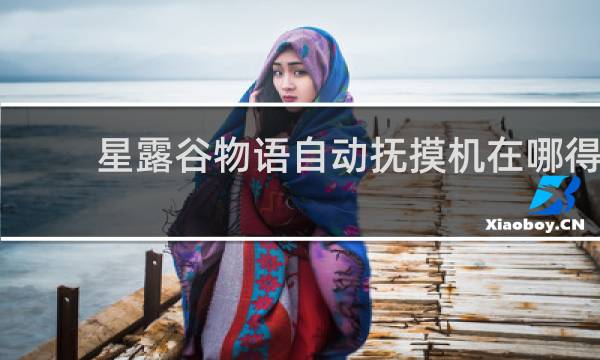 星露谷物语自动抚摸机在哪得