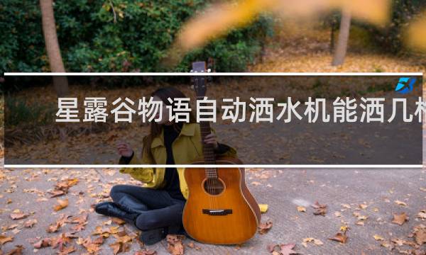 星露谷物语自动洒水机能洒几格