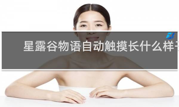 星露谷物语自动触摸长什么样子