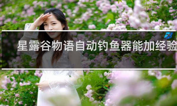 星露谷物语自动钓鱼器能加经验吗