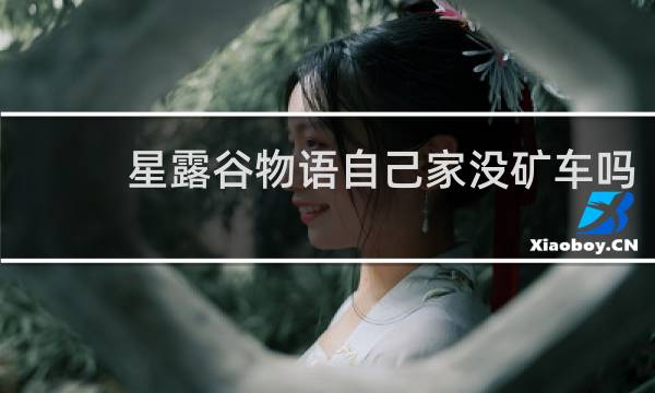 星露谷物语自己家没矿车吗