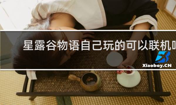 星露谷物语自己玩的可以联机吗