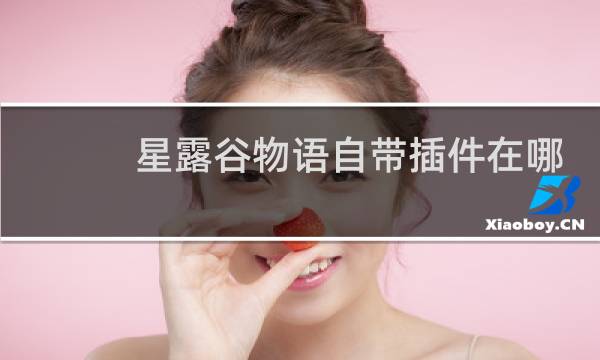 星露谷物语自带插件在哪