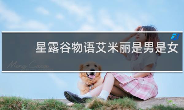 星露谷物语艾米丽是男是女