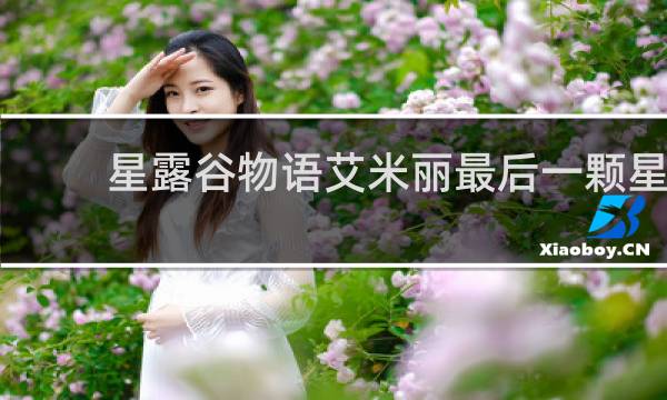 星露谷物语艾米丽最后一颗星