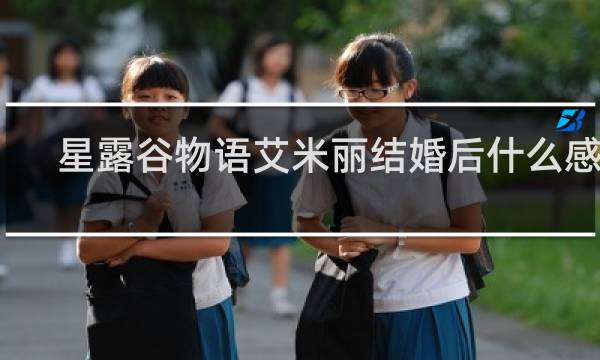 星露谷物语艾米丽结婚后什么感觉