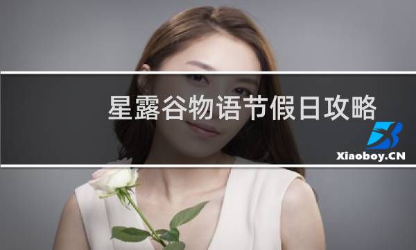 星露谷物语节假日攻略