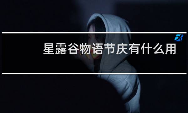 星露谷物语节庆有什么用