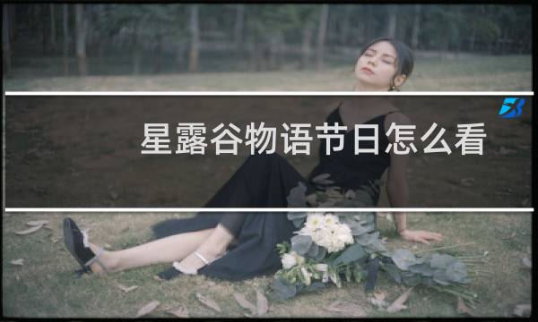 星露谷物语节日怎么看
