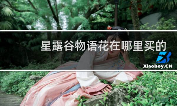 星露谷物语花在哪里买的