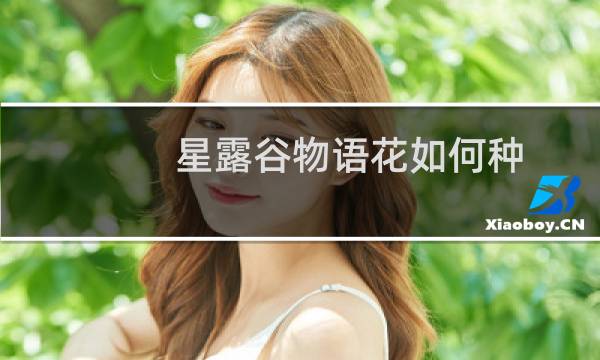 星露谷物语花如何种