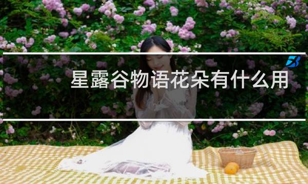 星露谷物语花朵有什么用
