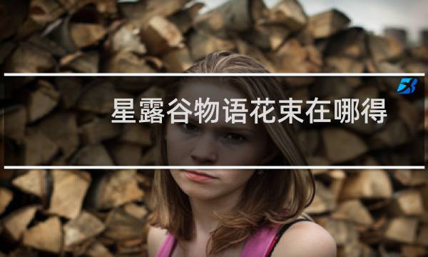 星露谷物语花束在哪得